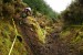 winter-league-round-2-irish-dh-iii.jpg